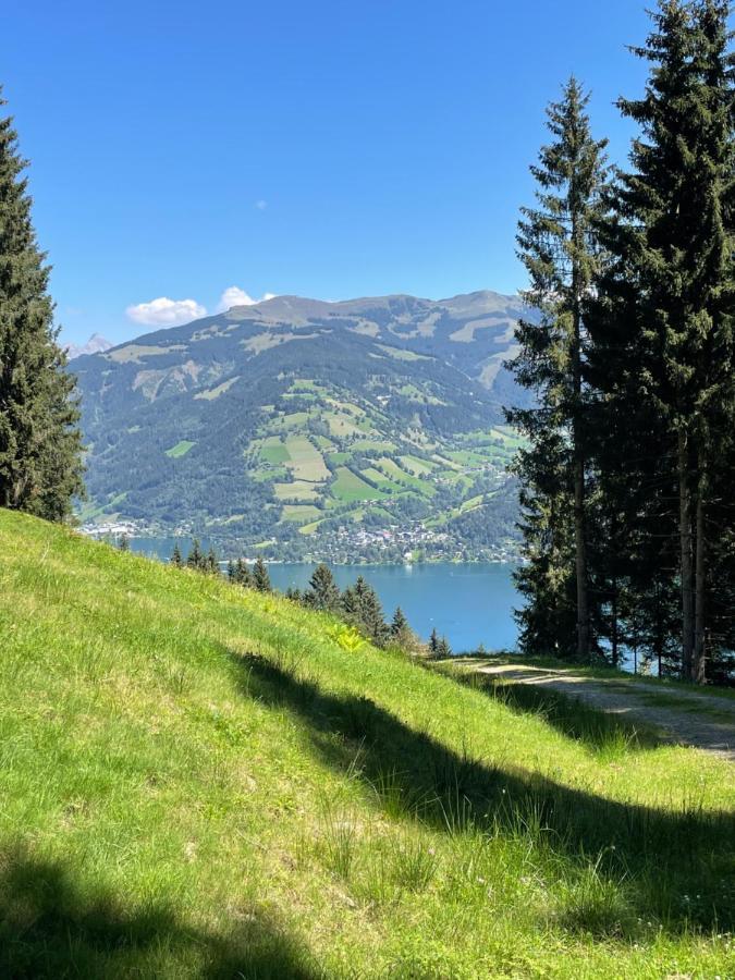 Schwaiger Appartements Zell am See Exterior foto